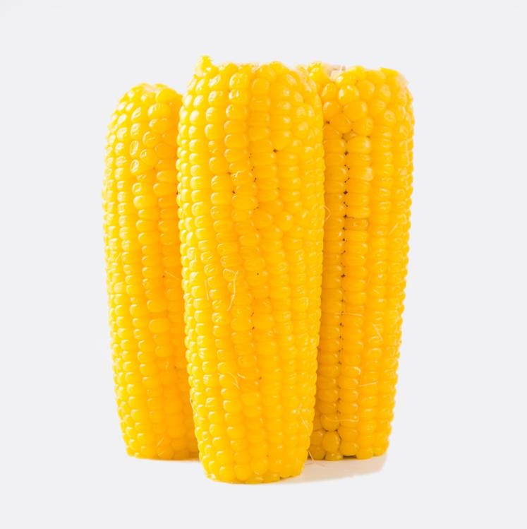 有机·黑土地速冻黄糯玉米(12穗)/400g*6