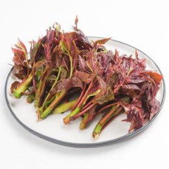 【产地直发】春芽·红头香椿/500g