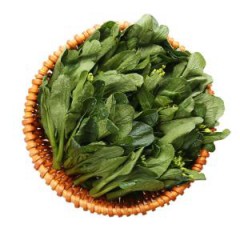 有机·菜心苗/250g